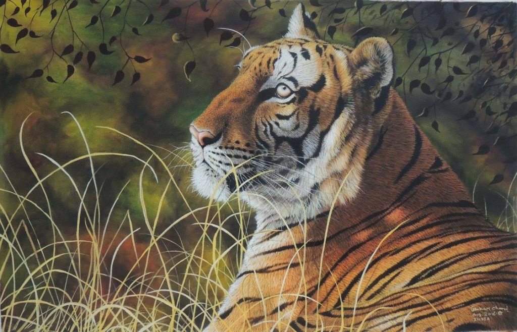 Wildlife Artist in India helping Forest Animal Rescue – Forest Animal Rescue