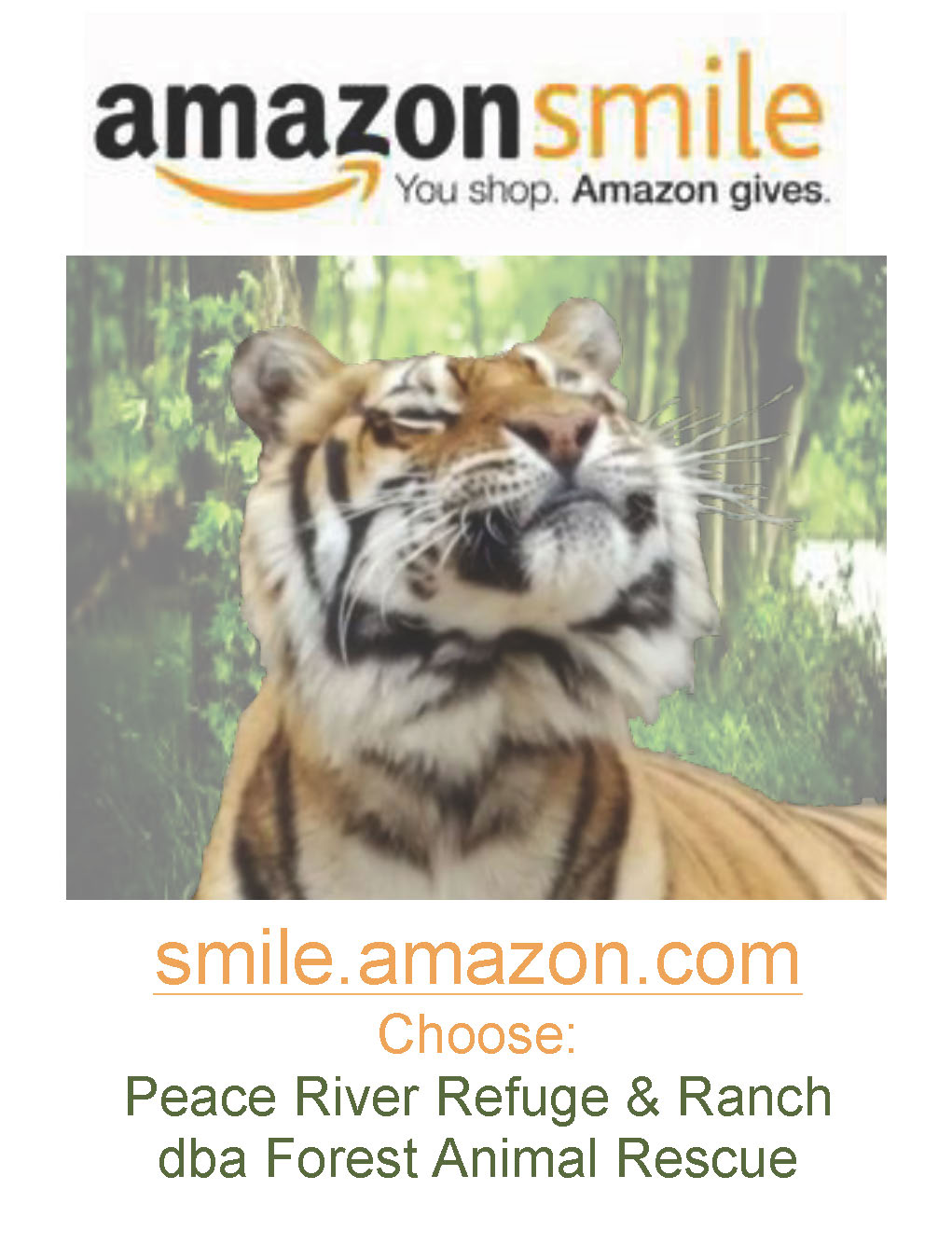 amazon – Forest Animal Rescue