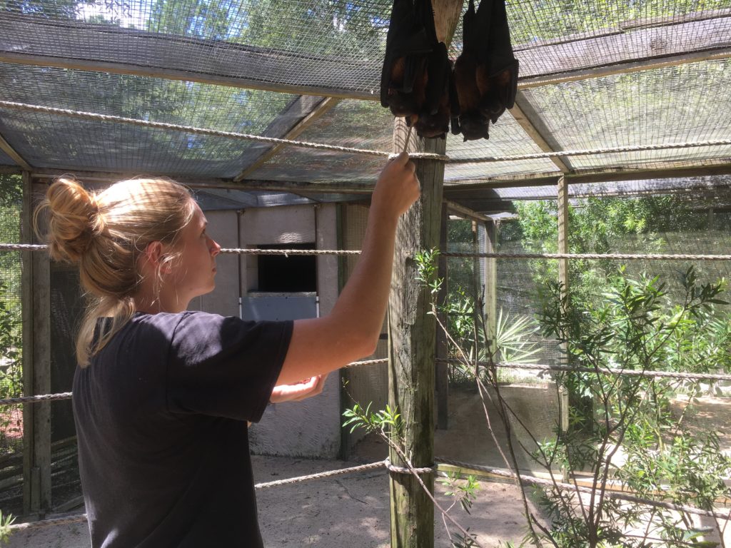 Wild Animal Sanctuary Habitat Restoration And Animal Husbandry