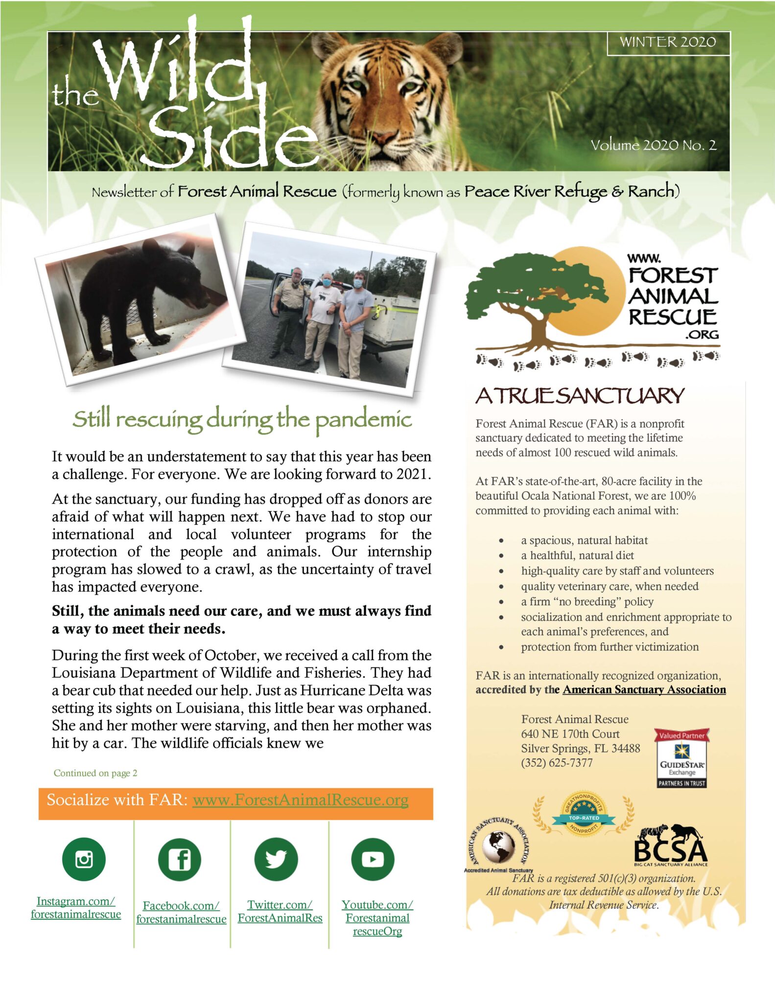 Our winter newsletter is online! – Forest Animal Rescue