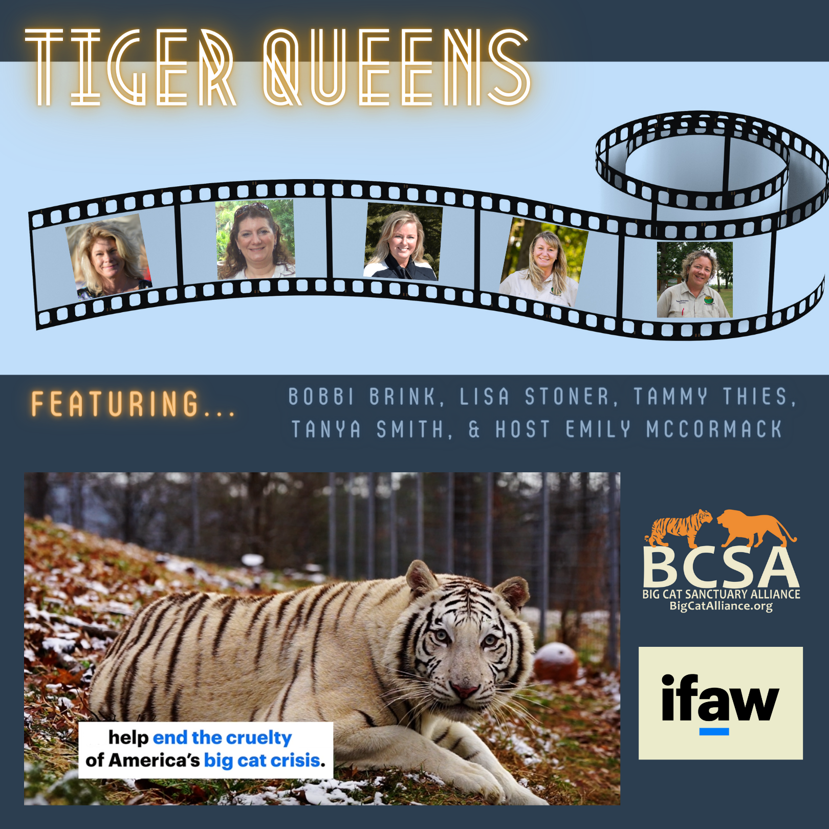 Social Media for Tiger Queens