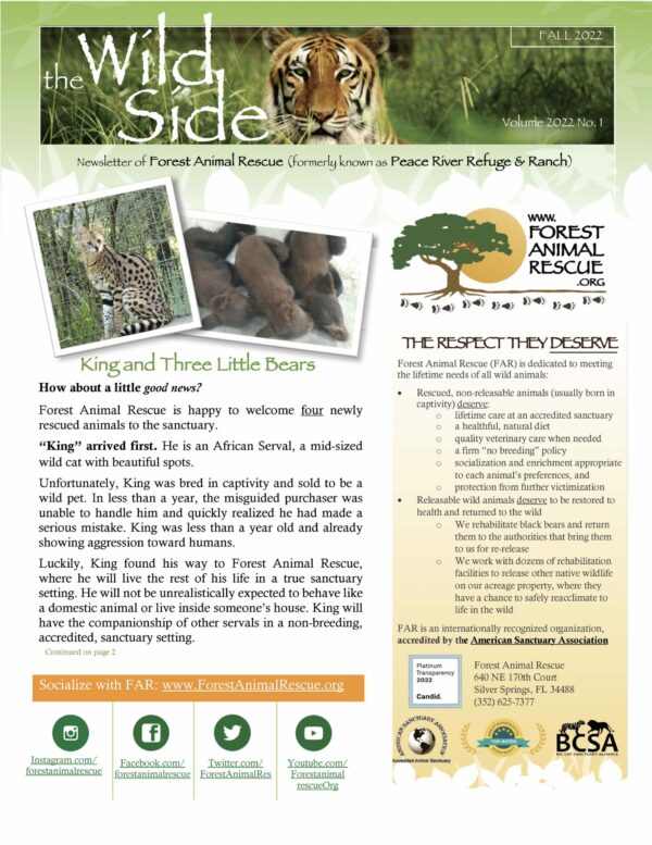 Our Fall Newsletter is Online! – Forest Animal Rescue