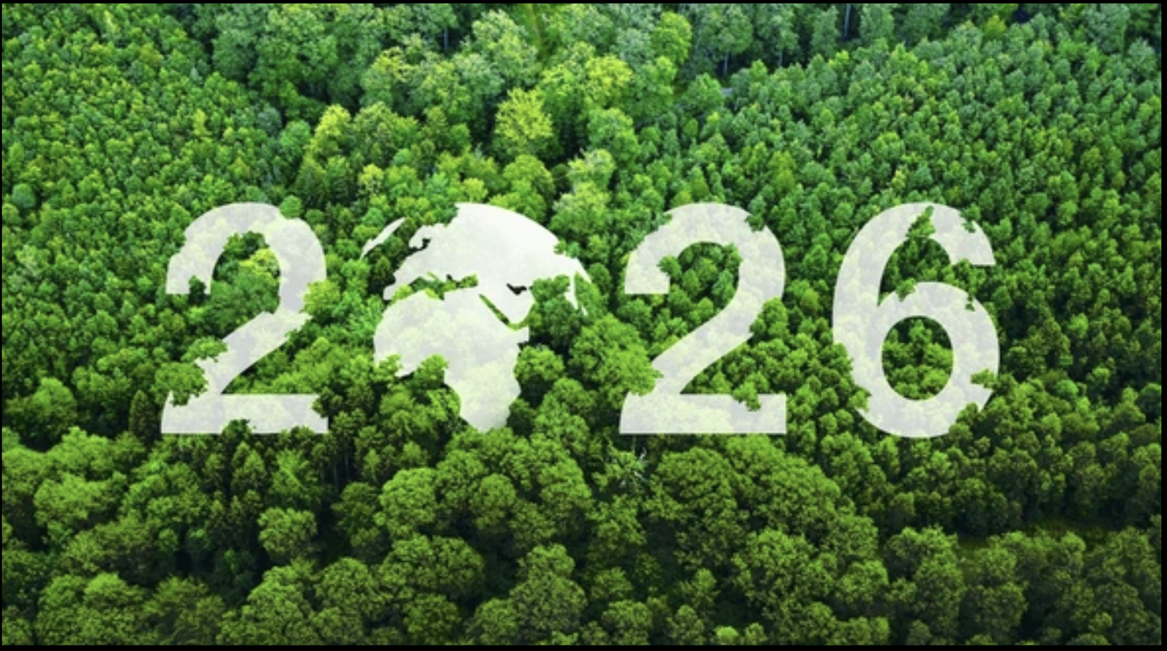 Screenshot 2025-12-31 at 12.41.29 PM