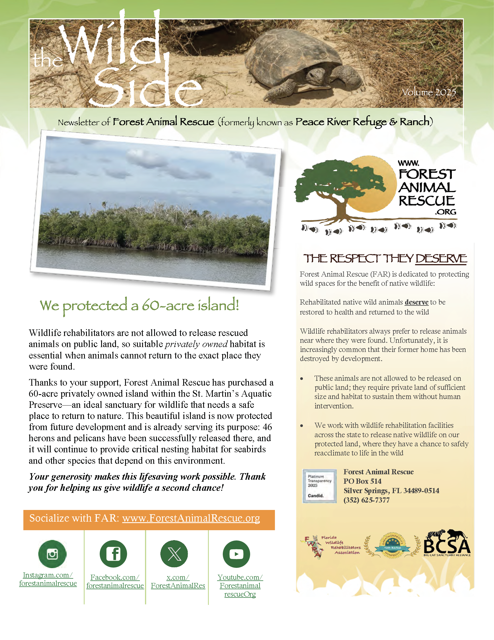 Wild Side 2025 12 thumb